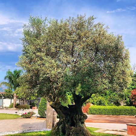 Poggiomarino Hotel Ginevra מראה חיצוני תמונה