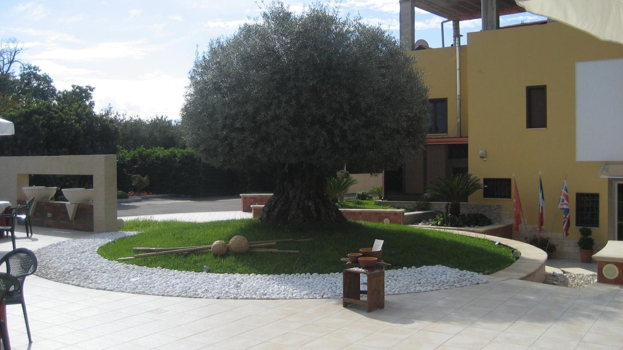 Poggiomarino Hotel Ginevra מראה חיצוני תמונה
