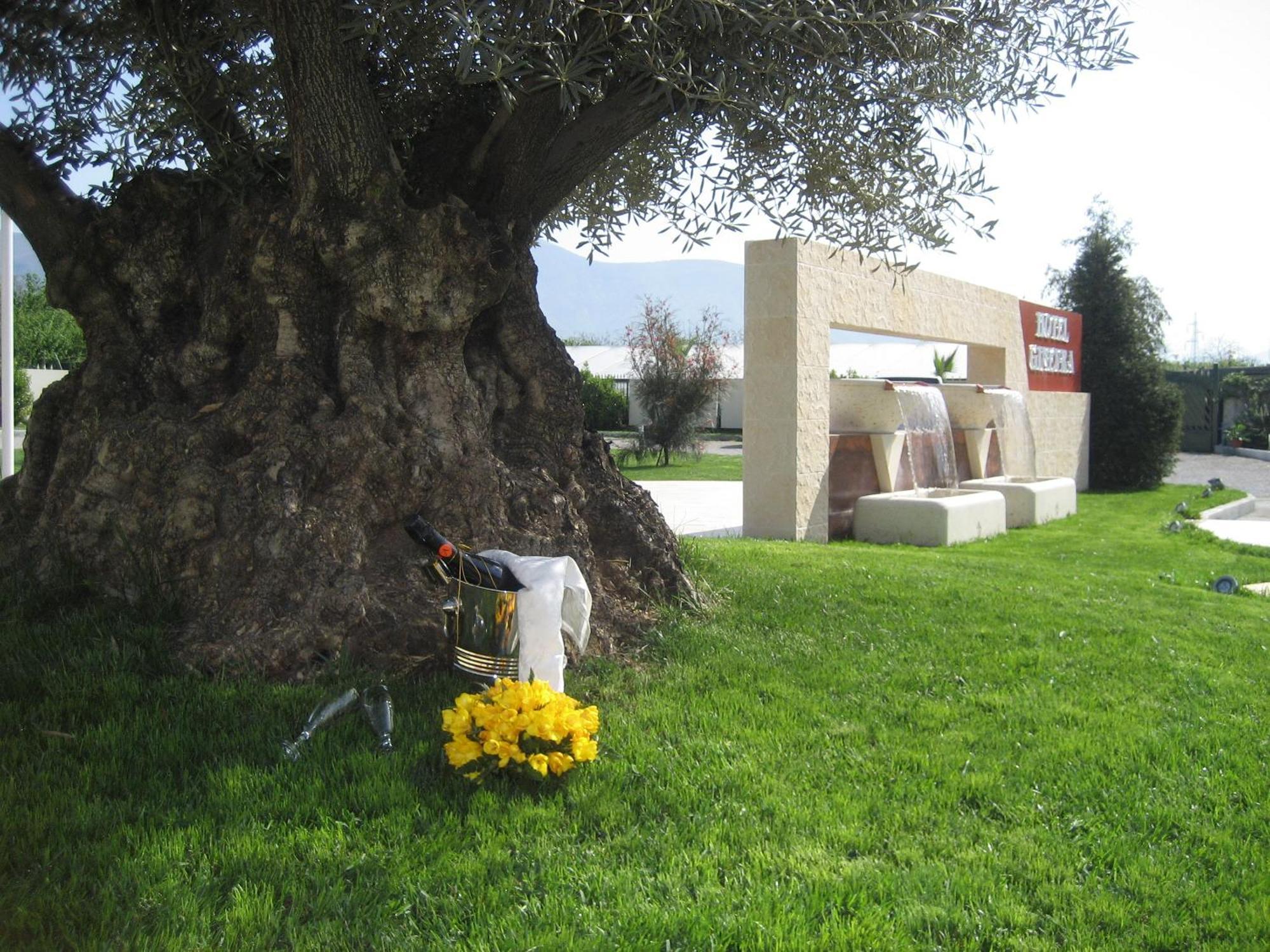 Poggiomarino Hotel Ginevra מראה חיצוני תמונה